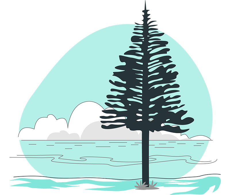 Norfolk Telecom Pine